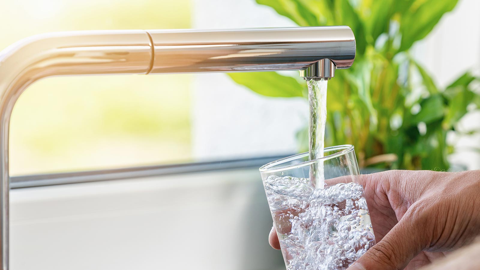 Descalcificador beber agua grifo